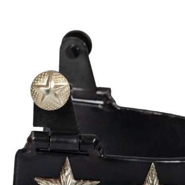 Espuelas Western bruñidas 6 estrellas