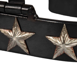Espuelas Western bruñidas 6 estrellas