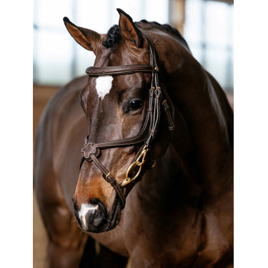 muserola cruzada LeMieux muserola cruzada LeMieux