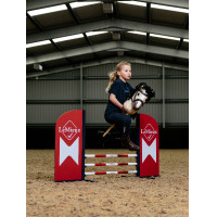 Hobby Horse LeMieux Benetton azul