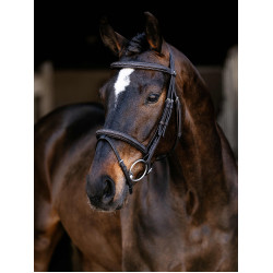 Brida Flash Arika Classic LeMieux Brida Flash Arika Classic LeMieux