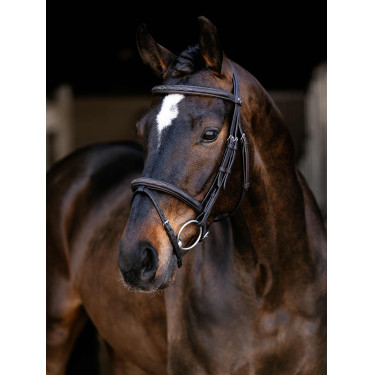 Brida Flash Arika Classic LeMieux Brida Flash Arika Classic LeMieux