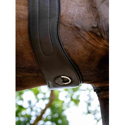 Cincha Hunter con forro extraíble antideslizante negro LeMieux
