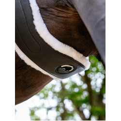 Cinch Hunter con forro desmontable Merino+ negro LeMieux Cinch Hunter con forro desmontable Merino+ negro LeMieux