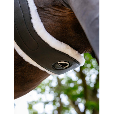 Cinch Hunter con forro desmontable Merino+ negro LeMieux Cinch Hunter con forro desmontable Merino+ negro LeMieux