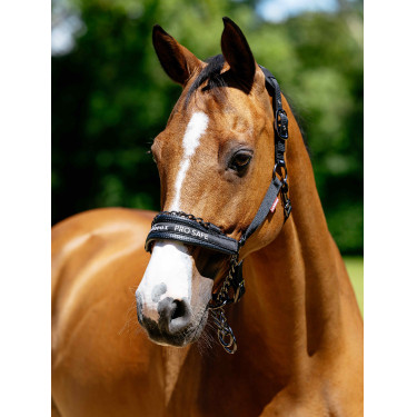 ProSafe Headcollar Negro LeMieux
