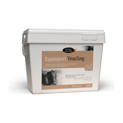equisport yearling Purasangre Horse Master