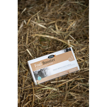 Foal Booster potros Horse Master