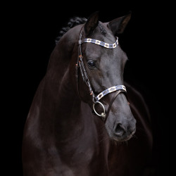 Brida HV Polo Chaya