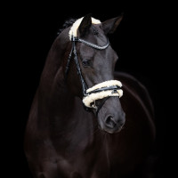 Brida HV Polo Kate Negro