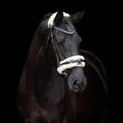 Brida HV Polo Kate Negro