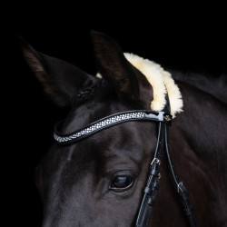 Brida HV Polo Kate Negro