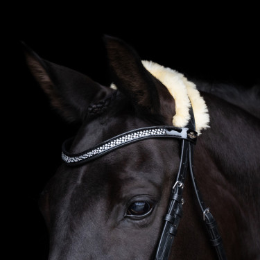 Brida HV Polo Kate Negro