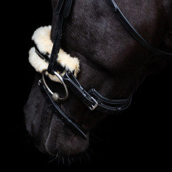 Brida HV Polo Kate Negro