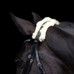 Brida HV Polo Kate Negro