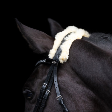 Brida HV Polo Kate Negro
