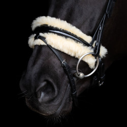 Brida HV Polo Kate Negro