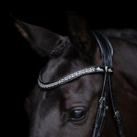 Cabezada HV Polo Diana