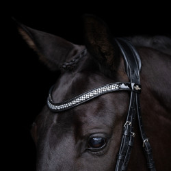 Cabezada HV Polo Diana