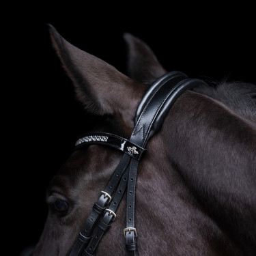 Cabezada HV Polo Diana