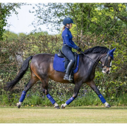 Mantilla LeMieux doma square - luxury Azul tinta