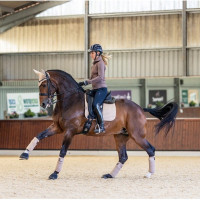 Mantilla LeMieux doma square - luxury Benetton azul