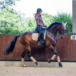 Mantilla LeMieux doma square - luxury Visón Marrón