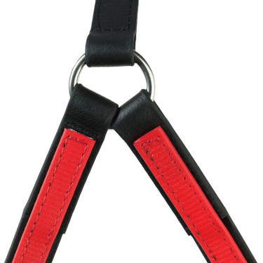 Pechopetral de pecho americana beta Finn-Tack Roja Rojo