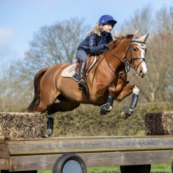 Protectores de tendón LeMieux Carbon Air XC Negro