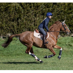 Protectores de tendón LeMieux Carbon Air XC Negro