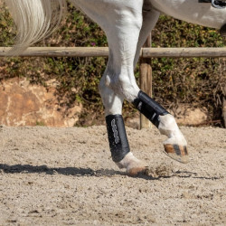 Protectores de tendón LeMieux Carbon Air XC Negro Protectores de tendón LeMieux Carbon Air XC Negro