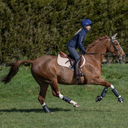 Protectores de tendón LeMieux Carbon Air XC Negro Protectores de tendón LeMieux Carbon Air XC Negro