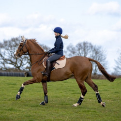 Protectores de tendón LeMieux Carbon Air XC Negro Protectores de tendón LeMieux Carbon Air XC Negro