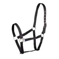 Cabezada Shires Wessex Negro