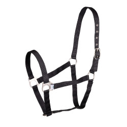 Cabezada de cuadra Shires Wessex para equitación