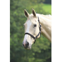 Cabezada Shires Wessex Negro