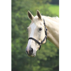 Cabezada de cuadra Shires Wessex para equitación