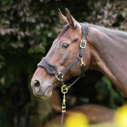 Cabestro y ramal polar para caballo Shires ARMA | Equitación