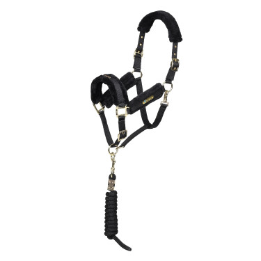Cabezada y ramal de equitación Shires Arma, acolchados