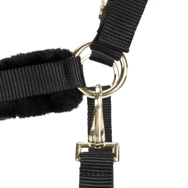 Cabezada y ramal de equitación Shires Arma, acolchados