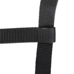 Cabezada y ramal de equitación Shires Arma, acolchados