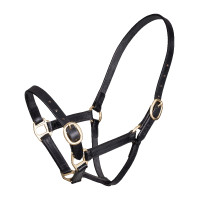 Cabezada de cuero ajustable Shires Velociti Gara Negro