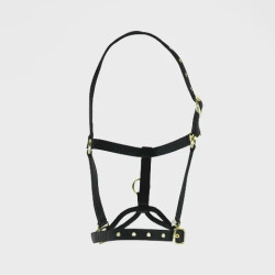 Cabezada de control para caballo Shires ARMA | Equitación