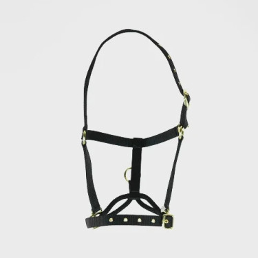 Cabezada de control para caballo Shires ARMA | Equitación