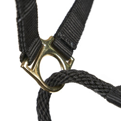 Cabezada de control para caballo Shires ARMA | Equitación