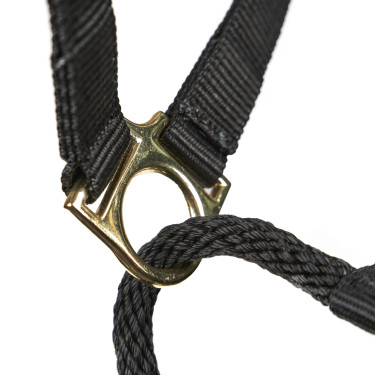 Cabezada de control para caballo Shires ARMA | Equitación