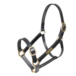 Cabezada de cuero equitación Shires Velociti Gara Cabezada de cuero equitación Shires Velociti Gara