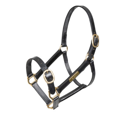 Cabezada de cuero equitación Shires Velociti Gara Cabezada de cuero equitación Shires Velociti Gara