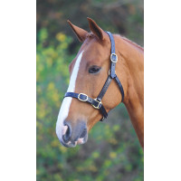 Cabezada de cuero totalmente ajustable Shires Velociti Gara Negro