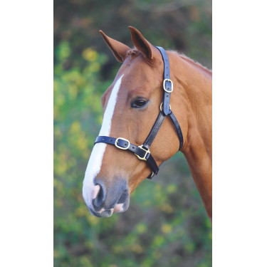 Cabezada de cuero equitación Shires Velociti Gara Cabezada de cuero equitación Shires Velociti Gara